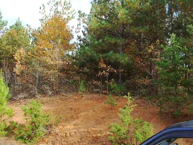 1st image of 917 Robertson Bluff Ct