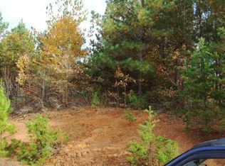 917 Robertson Bluff Ct, Marietta, SC 29661
