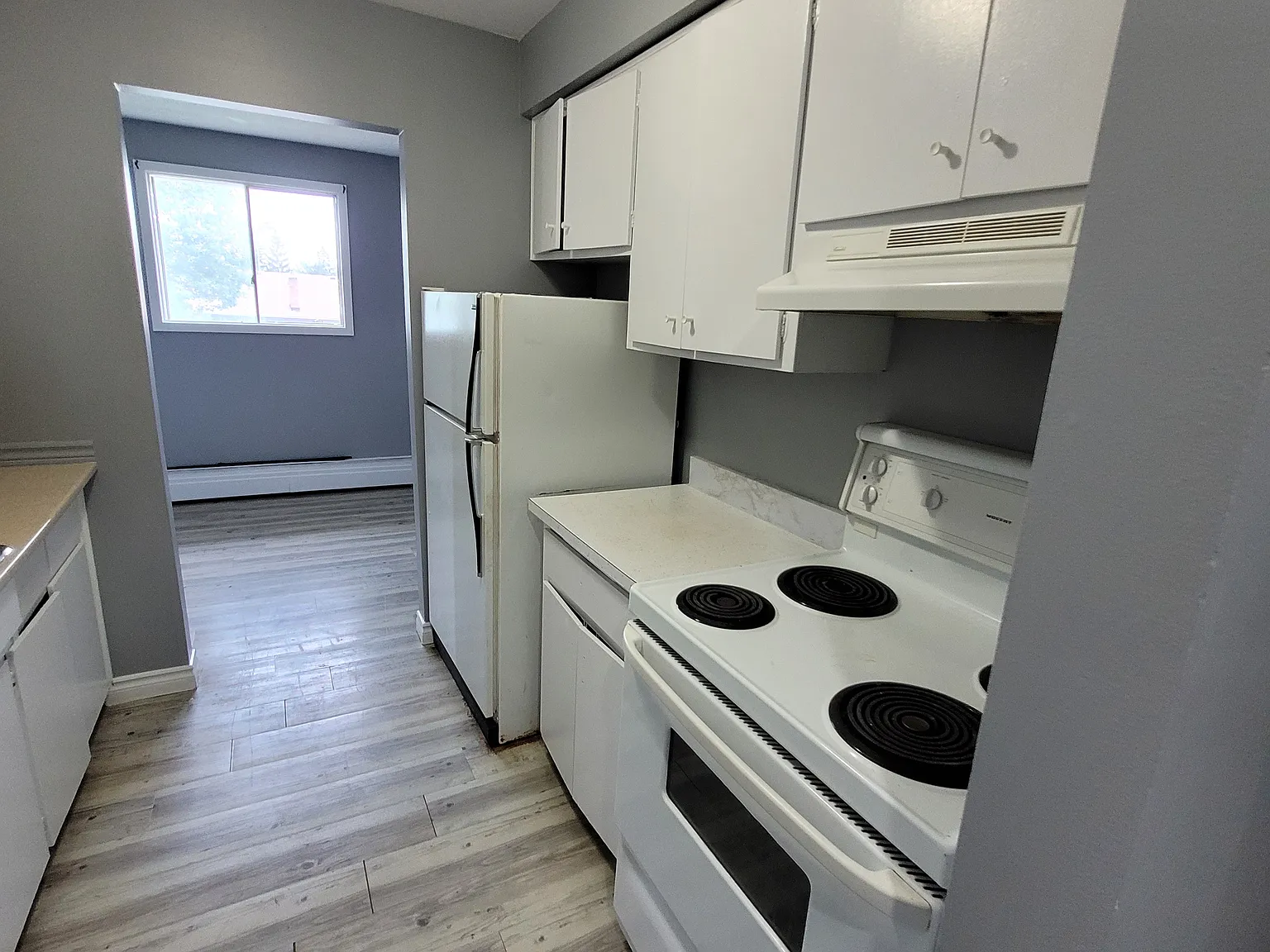 595 Silverbirch Road Waterloo — Photo 4