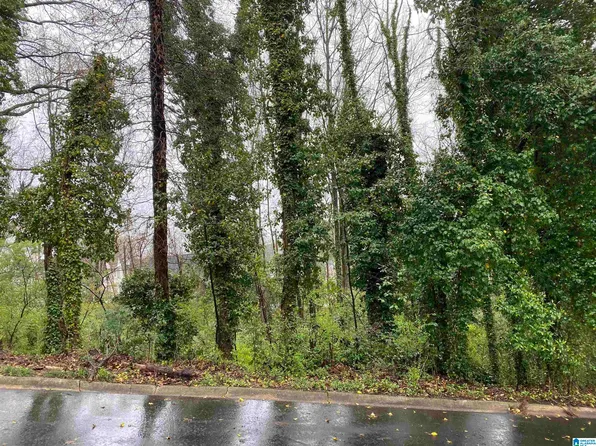 217 Edgeview Ave #8A, Birmingham, AL 35209