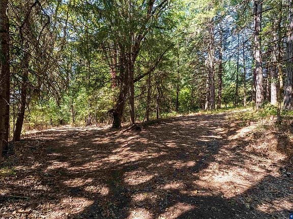 4th image of 6685 SW West Hills Rd