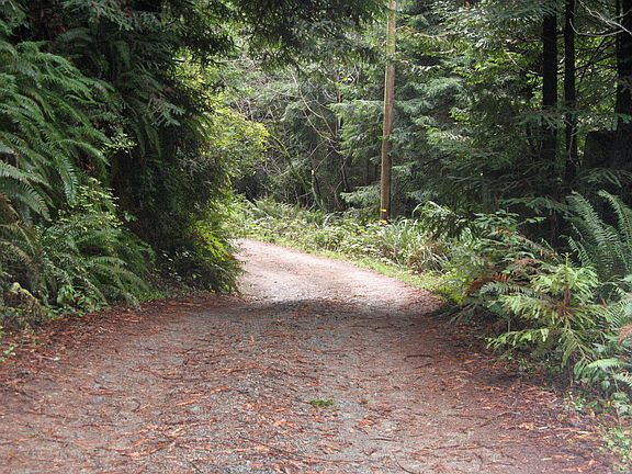 Driveway up to house