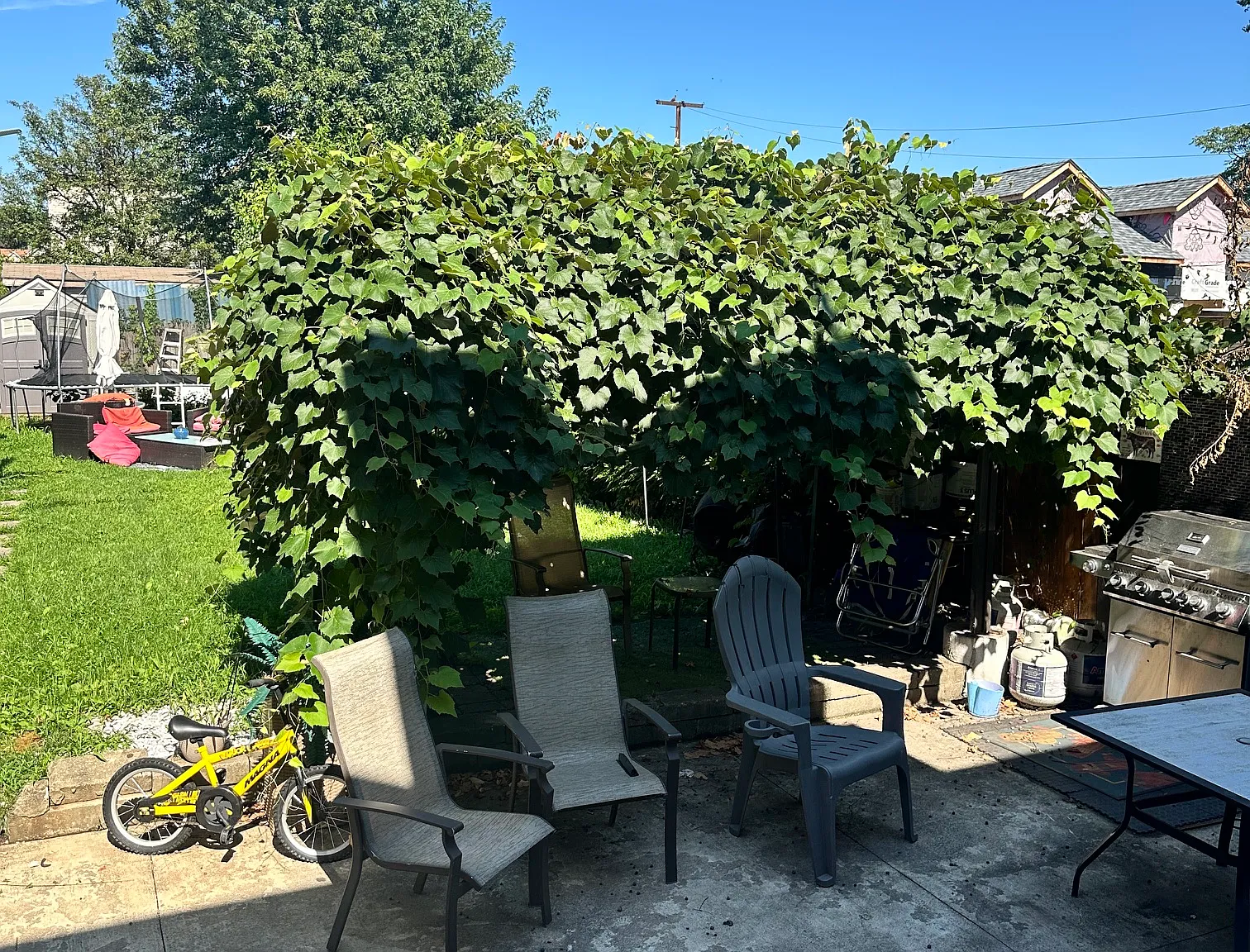 2 bed, 400 sqft, $2,000 — Photo 2