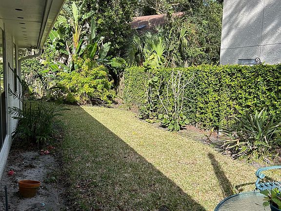 back yard and patio