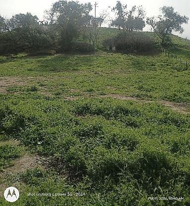 5th image of 7824 Bollea Rd