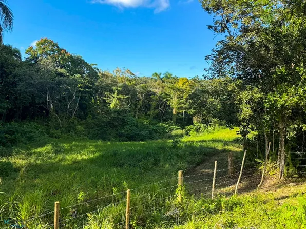 455 Carr, Camuy, PR 00627