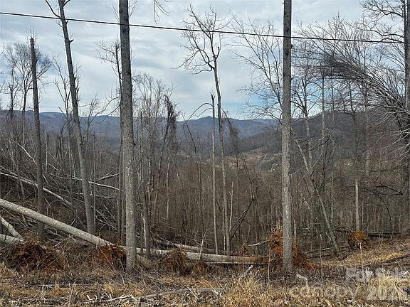 5th image of 0 Bear Ridge Rd