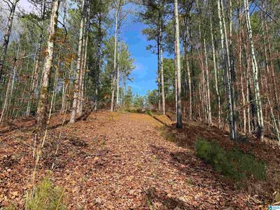 680 Sweet Apple Rd #1, Pell City, AL, 35128