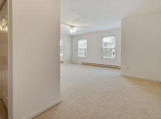 307 W Jackson St APT 3A, Woodstock, IL 60098