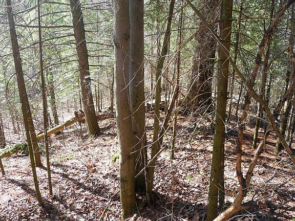 5th image of +/-.544 Acre SALEM LAKE ROAD