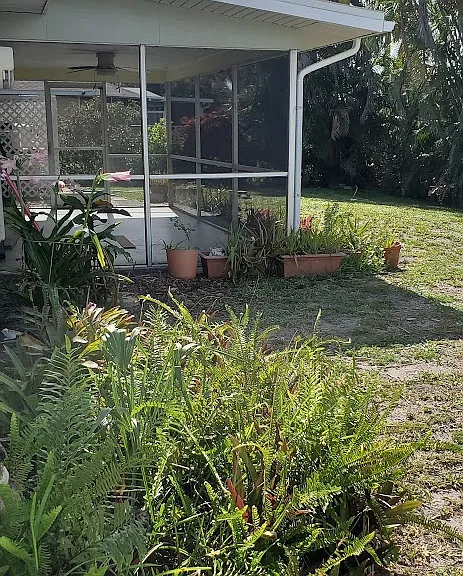 lanai
