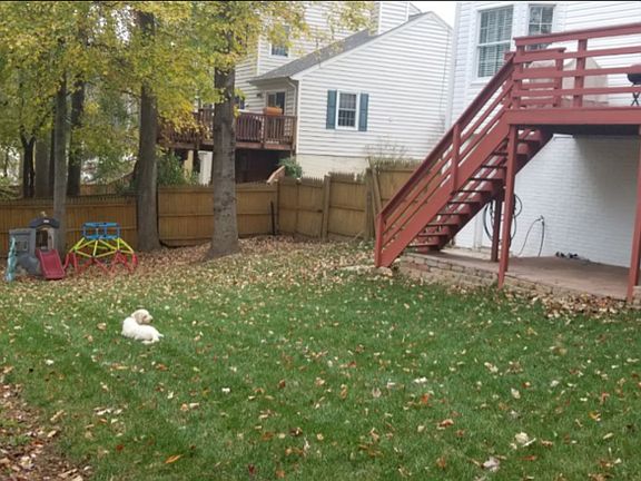 5th image of this home