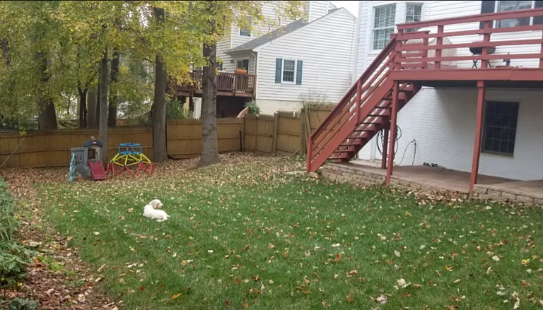 5810 Silchester St — Photo 5