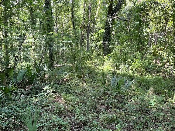 4th image of Sportsman Ln Lot Wp001