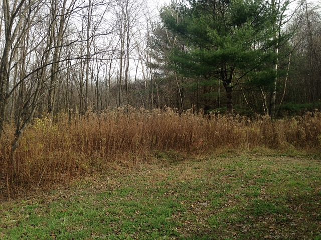 1st image of 14.1 New York State Route 22  Lot 1
