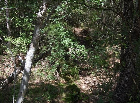 3rd image of Tbd Edgewood Trl