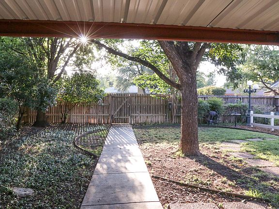 Back yard