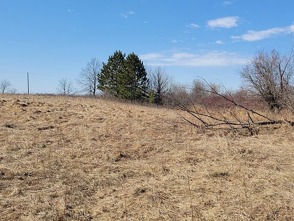 5th image of 512XX Leaf River Rd Tract A