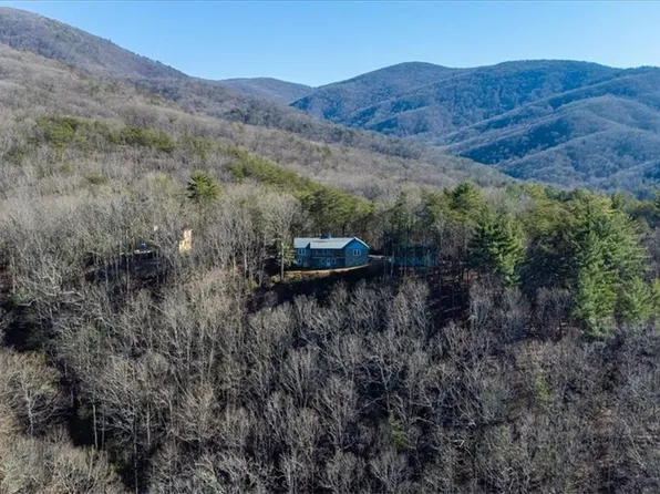 345 Pig Trl, Cherry Log, GA 30522