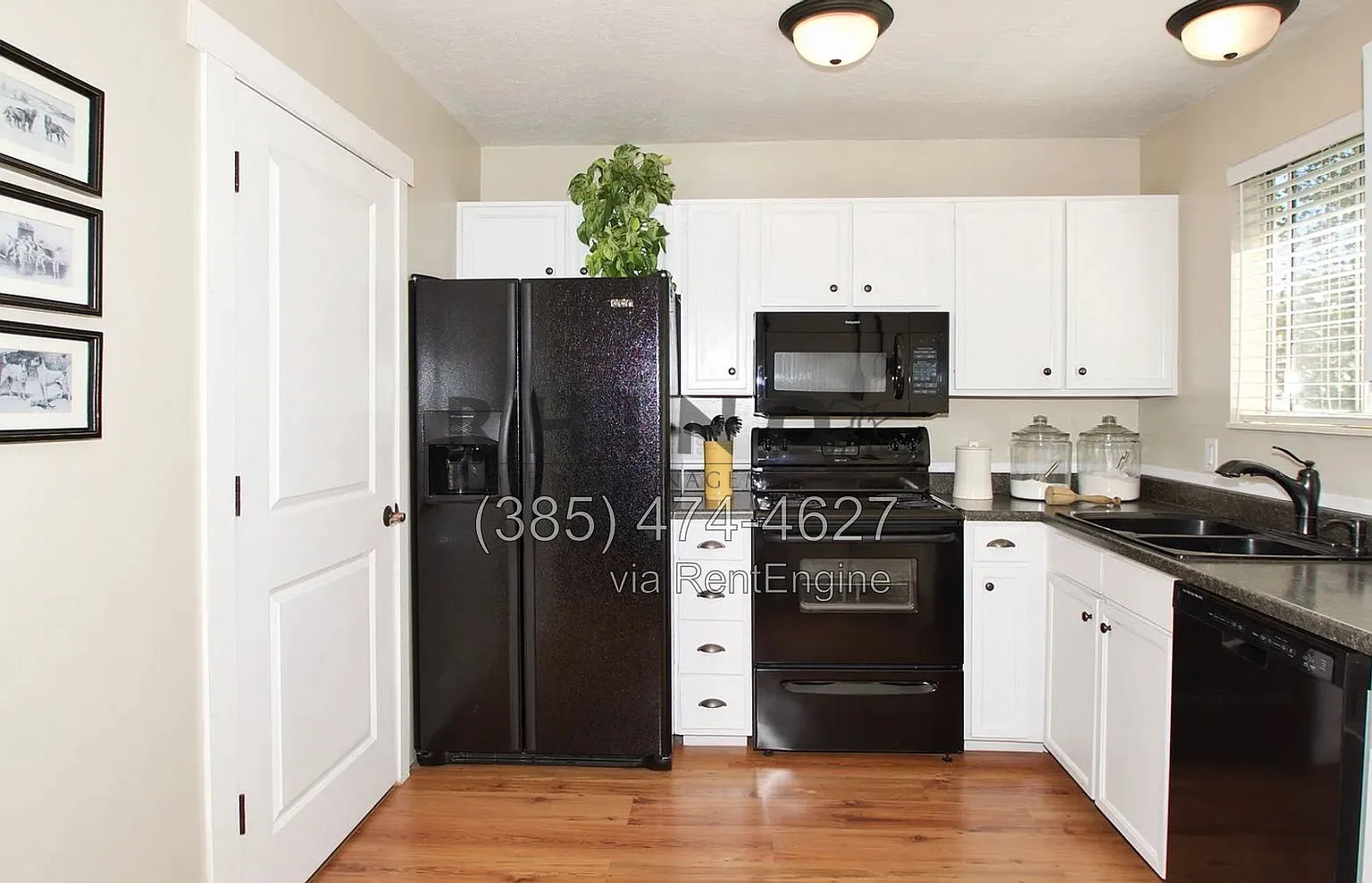 2 bed, 1.0 bath, 1112 sqft, $1,500 — Photo 1
