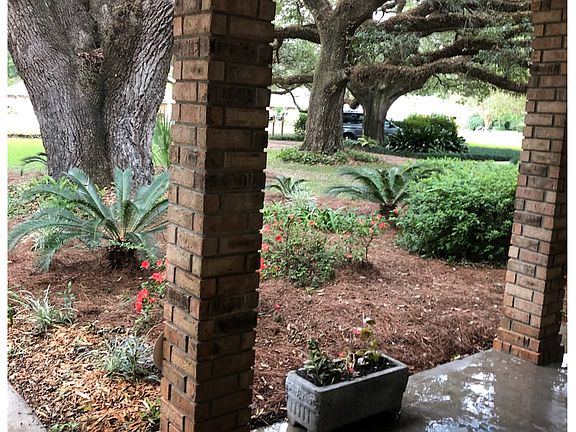 Majestic live oaks in front