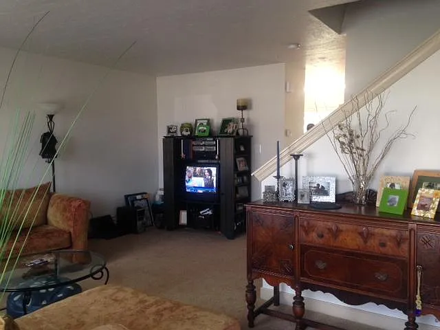 217 Country Ridge Dr — Photo 2