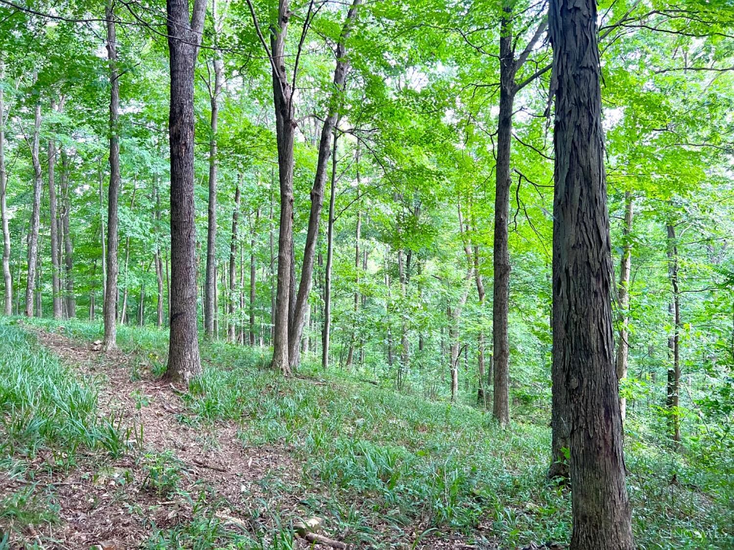 514 Dog Hollow Rd, Otway, OH 45657 MLS 1814243 Zillow