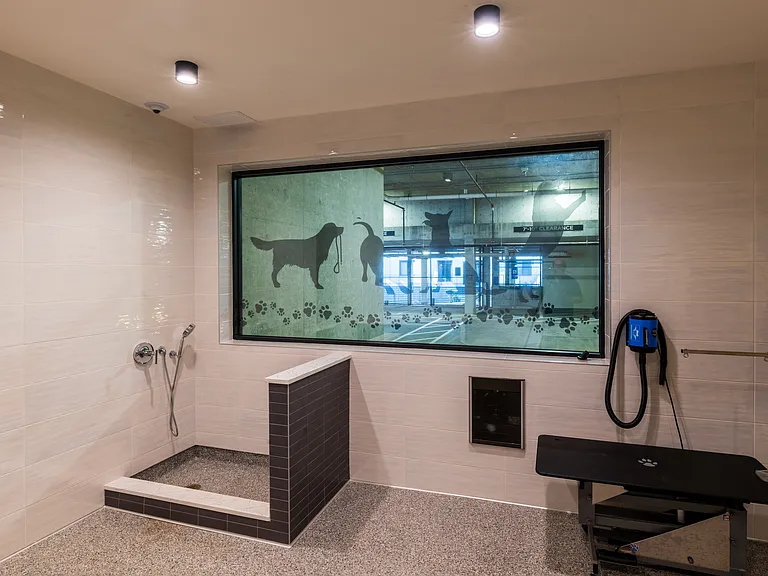 Dog Spa