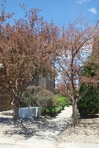 1703 Whitehall Dr #8H — Photo 12