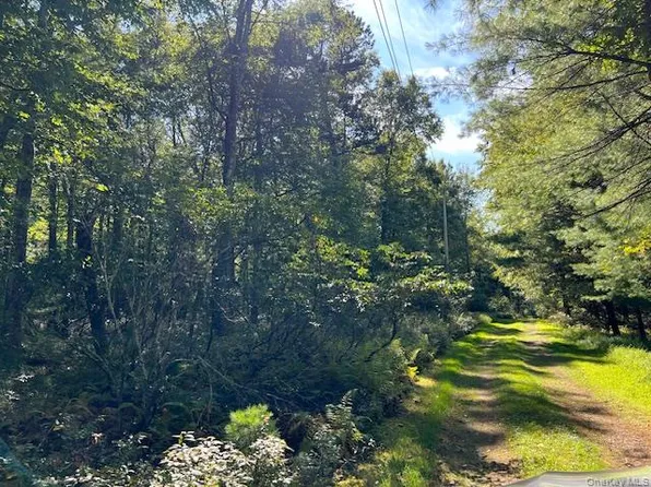 (undisclosed Address), Glen Spey, NY 12737