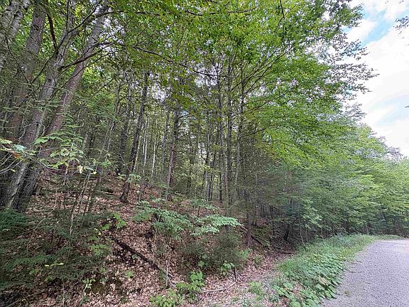 3rd image of Craig Road