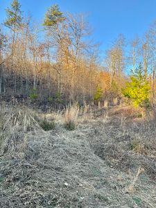 0 Bull Hollow Rd, Manchester, KY, 40962