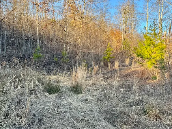 0 Bull Hollow Rd, Manchester, KY 40962