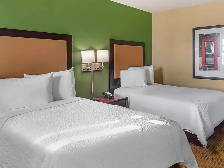 Studio Suite - 2 Full Beds