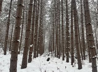 29931 Minerva Rd, Danbury, WI 54830