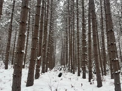 29931 Minerva Rd, Danbury, WI, 54830