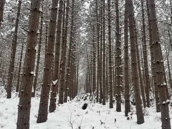 29931 Minerva Rd, Danbury, WI 54830