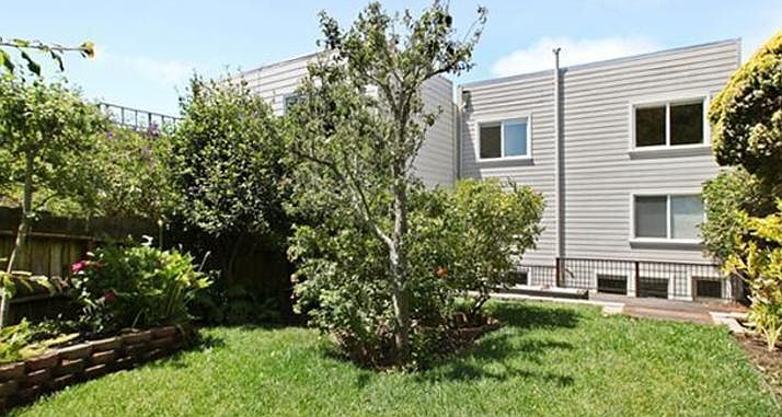 Common Backyard