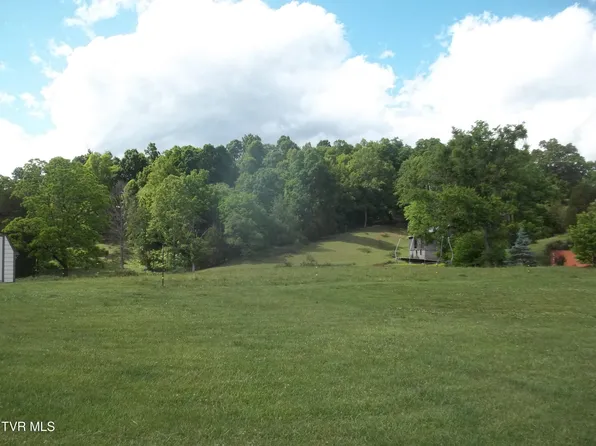 1103 Lloyds Chapel Rd, Mount Carmel, TN 37645