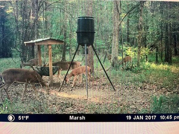 0 Liberty Hill Rd, Cusseta, GA 31805
