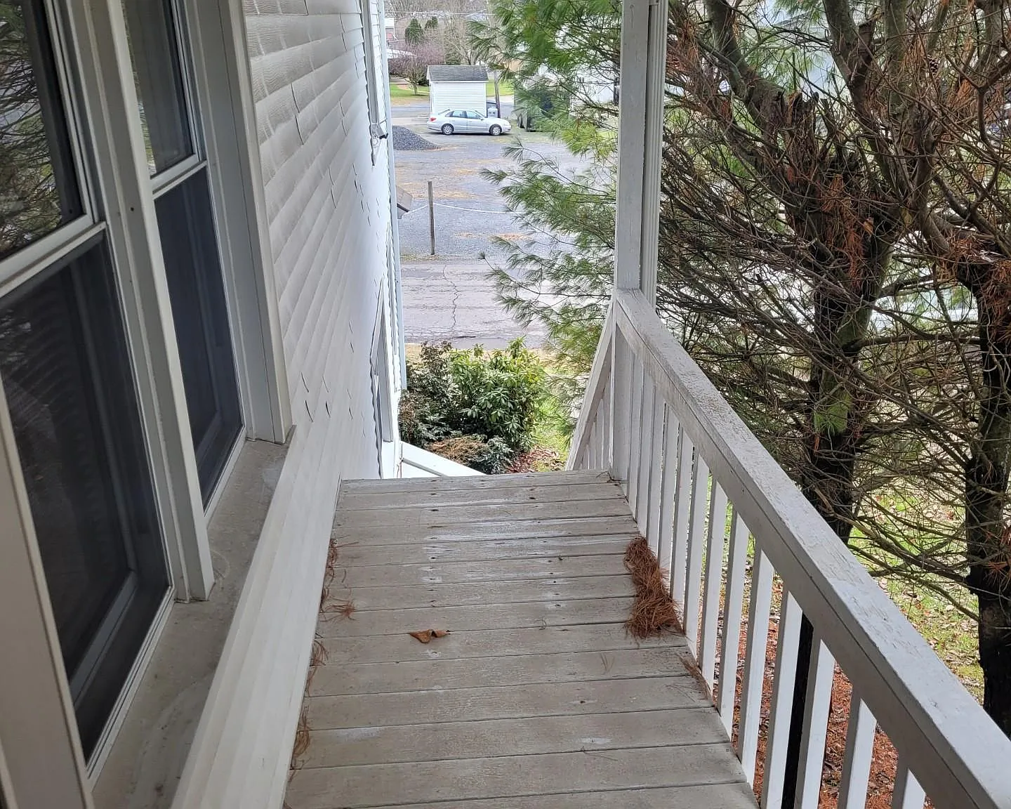 1 bed, 1100 sqft, $950 — Photo 4