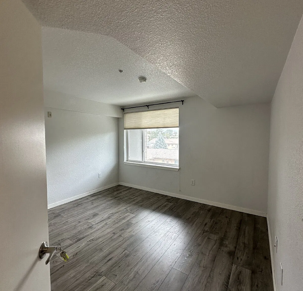 1 bed, 2.0 bath, 1280 sqft, $995 — Photo 2