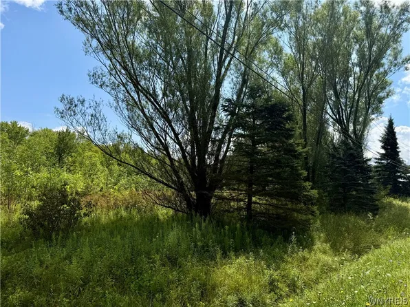 9259 Carpenter Rd Lot 1, Eden, NY 14057