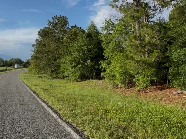 0 Scotland Rd, Alamo, GA 30411