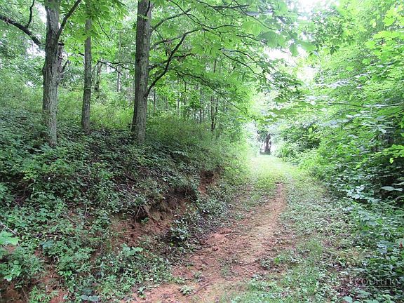 4th image of TBD Little Laurel Road