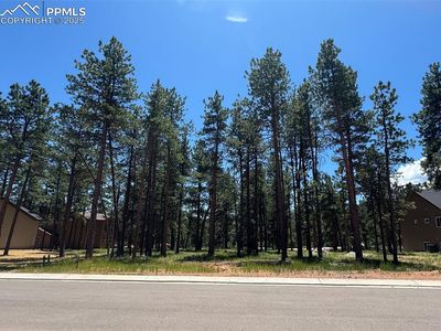 1287 Firestone Dr, Woodland Park, CO, 80863