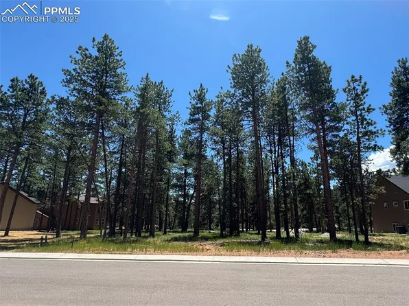 1287 Firestone Dr, Woodland Park, CO 80863