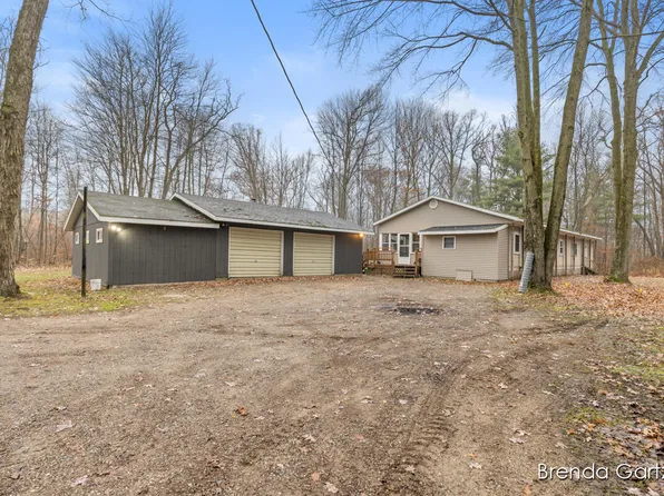 9807 N Maple Hill Rd, Howard City, MI 49329