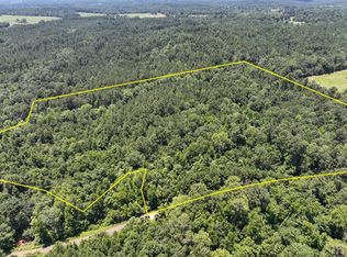 2 Lickskillet Rd, Milam, TX 75959