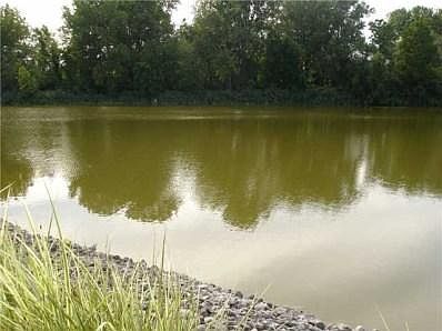 4th image of 300 N Crest Dr